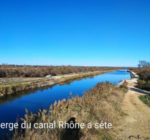 Balade autour d'Aigues Mortes - Aigues-Mortes - 3