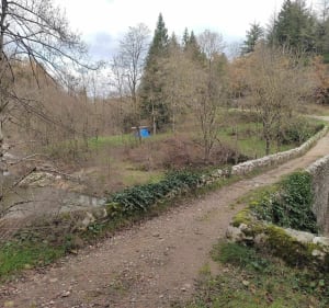 Duzon de pont Romain à pont Gournier - Saint-Sylvestre - 4