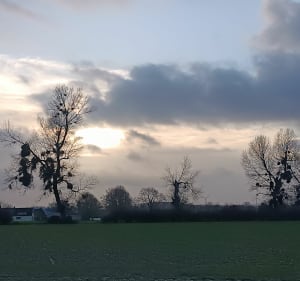 En passant par la campagne du Tréport - Eu - 3