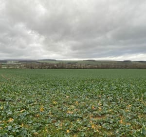 Vers le Grand Trise et l’étang du Wameau - Belleville-sur-Meuse - 3