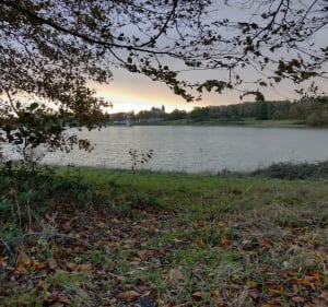 Tour du Plan d'eau de La Valiere - Vitré - 4