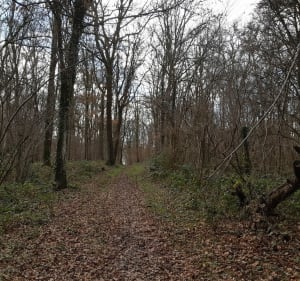 Balade ferroviaire dans les bois d'Auneau par la Fontaine Blanche - Auneau-Bleury-Saint-Symphorien - 3