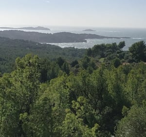 Le Gros Cerveau en partant de Saint Anne d'Evenos en VTT - Évenos - 4