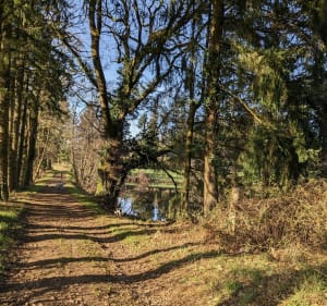 Chemin de Caux la Mazière à Royères - Le Châtenet-en-Dognon - 3