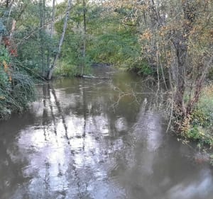 Boucle au fil de la Boivre - Vouneuil-sous-Biard - 3