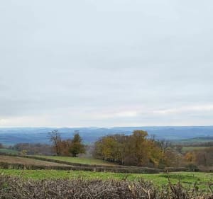 De Barizey à Saint-Hélène par la prairie - Barizey - 3