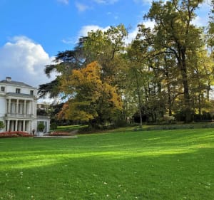 Couleurs d'automne- le bois de la grange, l'Yerres et le Réveillon - Villecresnes - 5