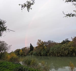 Dans la plaine de Coursan - Coursan - 3