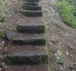 Réunion hike, gîte de Bélouve - Salazie - 3