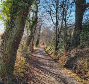 Par routes et chemins à la Roche la Molière - Roche-la-Molière - 3