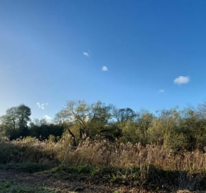 Au détour des villages depuis Labergement - Labergement-lès-Auxonne - 4