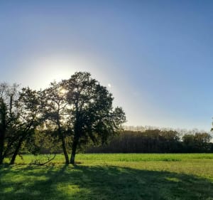 Au détour des villages depuis Labergement - Labergement-lès-Auxonne - 5