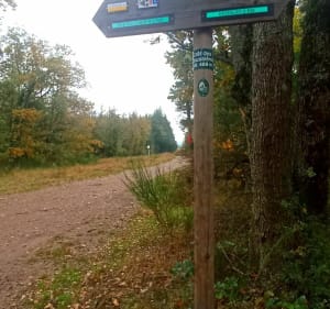 Rando Échalas, avec une belle vue - Échalas - 5