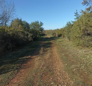 Boucle du causse de Coly - Coly-Saint-Amand - 5