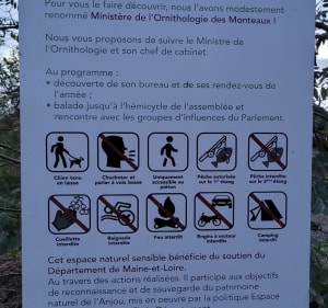 Vivy : Plan d’eau des Monteaux - Vivy - 3