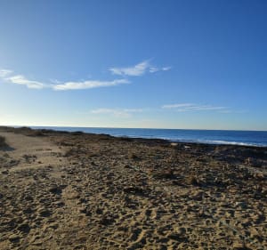 Terre, air, mer à la Couronne - Martigues - 3