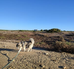 Terre, air, mer à la Couronne - Martigues - 4