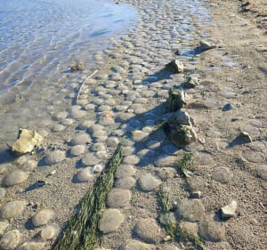 Terre, air, mer à la Couronne - Martigues - 5