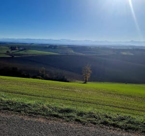 Cote de Mauressac 3,36km. - Labarthe-sur-Lèze - 4