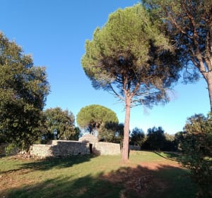 Un autre Clos Gaillard - La Calmette - 4