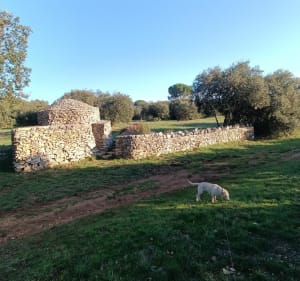 Un autre Clos Gaillard - La Calmette - 5