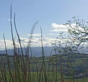 Le signal de St André, par les marches, retour par la Côte - Chaussan - 3
