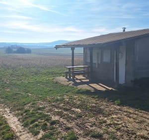 De Fondblanche à Seyssuel en passant par le bois. - Communay - 3