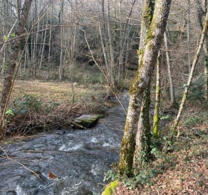Balade sur les bords de la Cazine - Colondannes - 5