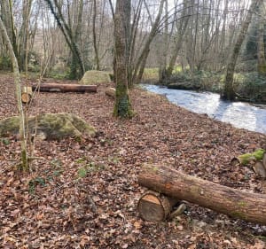 Balade sur les bords de la Cazine - Colondannes - 4