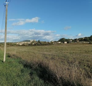 Rians ente Vignes, canal et forêt - Rians - 4