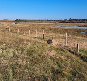 OT Brem: entre marais, forêt d'Olonne, et dunes - Brem-sur-Mer - 4