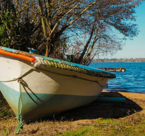 Balade à vélo au Lac de Biscarosse - Biscarrosse - 4