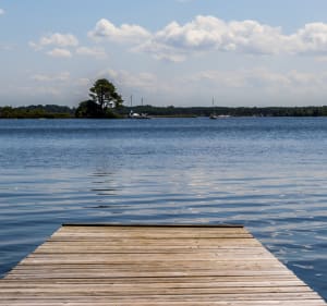 Balade à vélo au Lac de Biscarosse - Biscarrosse - 5