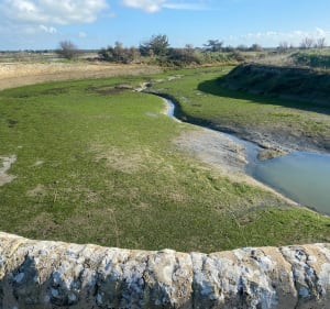 Entre mer et marais sur l'Île de Ré - Saint-Clément-des-Baleines - 5