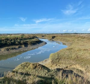 Entre mer et marais sur l'Île de Ré - Saint-Clément-des-Baleines - 3
