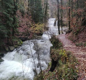 Vallée du Hérisson - Le Frasnois - 4