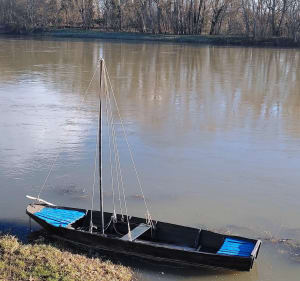 Balade à Chouzé sur Loire - Chouzé-sur-Loire - 3