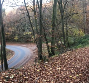 Sortie dans la forêt de bretonne - Aizier - 5
