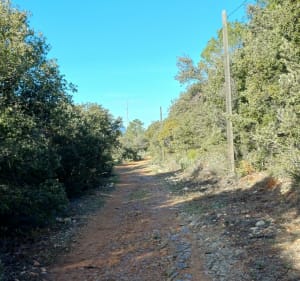 Randonnée facile au Malmont - Draguignan - 3