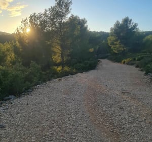 Balade au route de crête avec un retour tranquille. - La Ciotat - 5