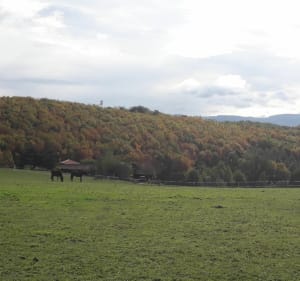 Balade sur les crêtes de l'Étrat - L'Etrat - 3