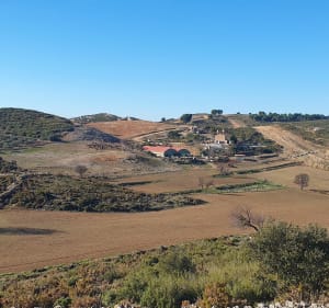 Collines de la Nerthe - Gignac-la-Nerthe - 5