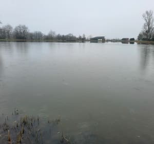 Étangs Aubigny-sur-Nère - Aubigny-sur-Nère - 3