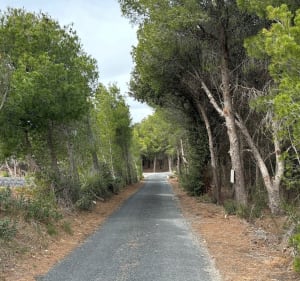 Entre vignes et forêt de pins - Espira-de-l'Agly - 3