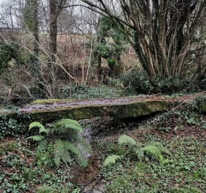 Boucle de la Paquelais par la Bouvardière - Vigneux-de-Bretagne - 3