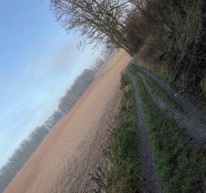 Belle balade dans les collines de Rixheim - Rixheim - 5