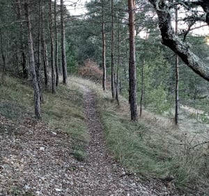 Balade autour de Rochecolombe - Rochecolombe - 3