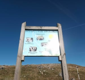 Plaine joux-plateau voor gezinnen - Bogève - 5