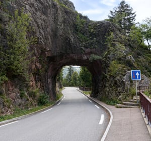 Lus van de Col de la Schlucht en Calvaire vanaf het meer van Longemer - Xonrupt-Longemer - 4