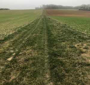 Au cœur des champs Nogent sur Seine - Nogent-sur-Seine - 3